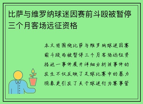 比萨与维罗纳球迷因赛前斗殴被暂停三个月客场远征资格